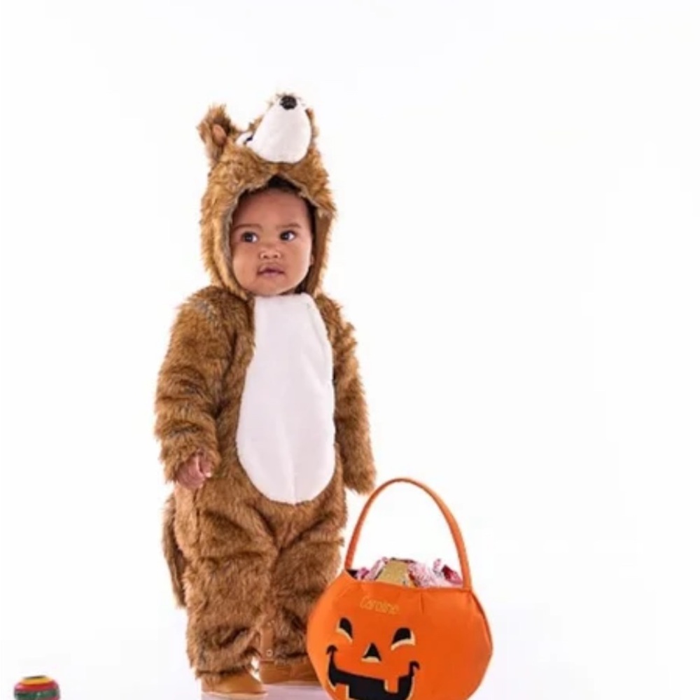 NWT Pottery Barn Kids Baby Wolf Costume 0-6M
